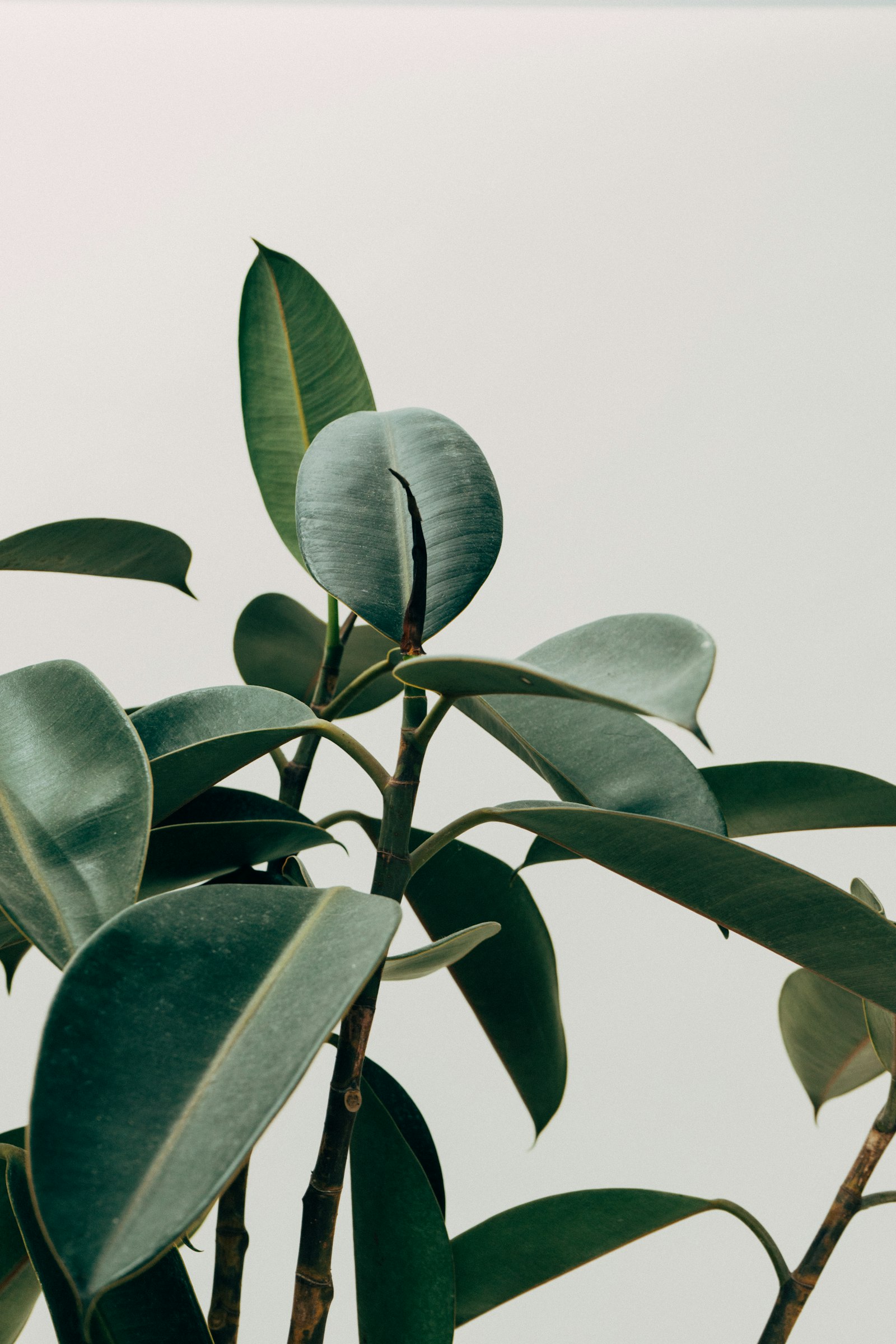 Séjour rénové à Lacanau — lumière et bois clair